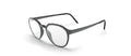 SILHOUETTE 2981 75 6560 49 FRAME