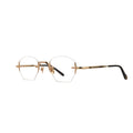 ROSVIN BUGS GOLDFINGER 001 48 FRAME