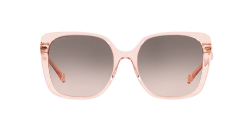 BVLGARI 0BV  8225B - Dayal Opticals   