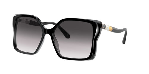 BVLGARI 0BV  8229B - Dayal Opticals   