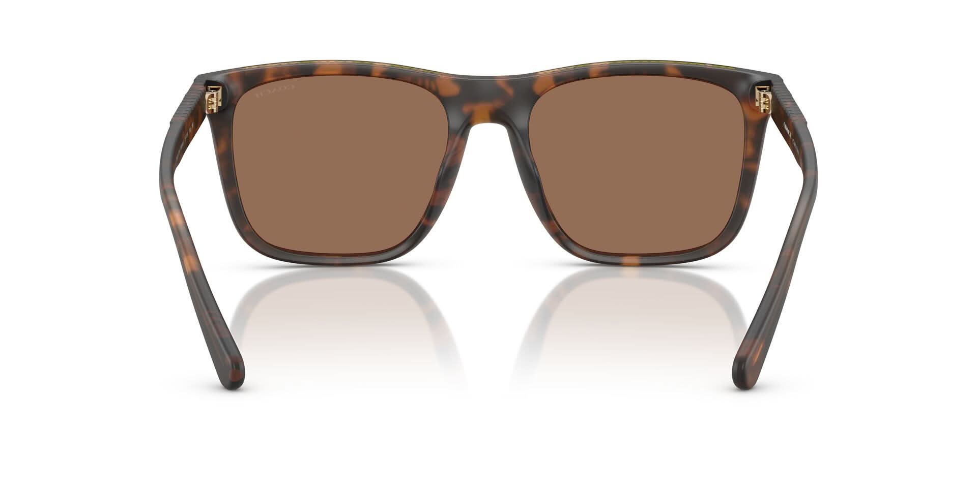 COACH HC8427U CAE78 512073 57 SUNGLASSES