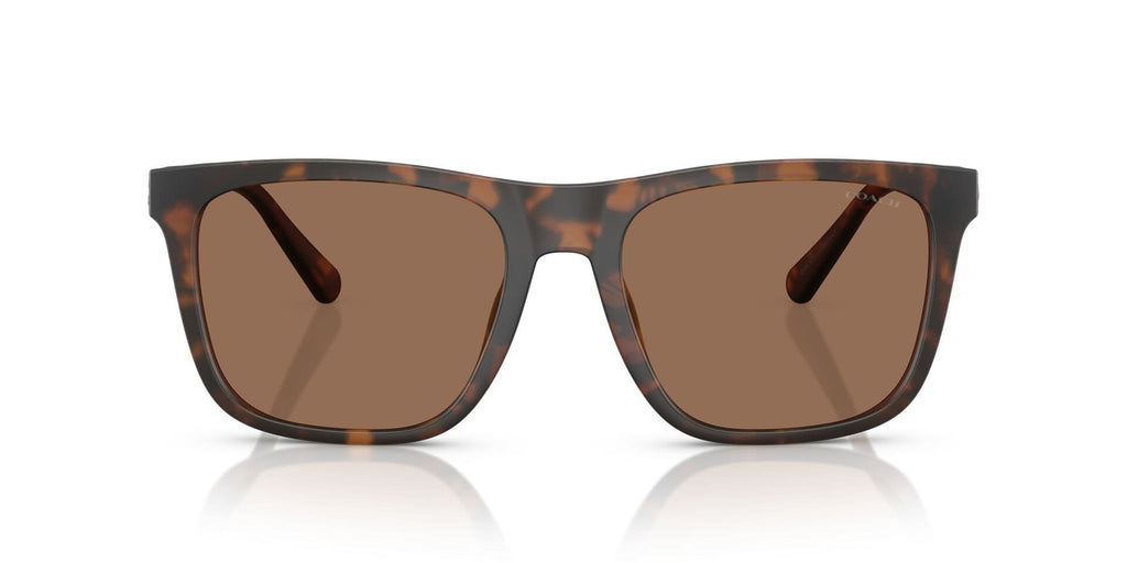 COACH HC8427U CAE78 512073 57 SUNGLASSES