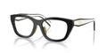 PRADA PRD11VD 20G1O1 53 FRAME