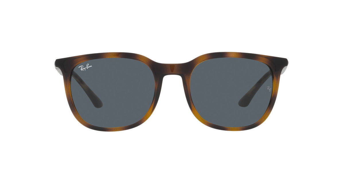 RAY BAN 0RB 4386 - Dayal Opticals   