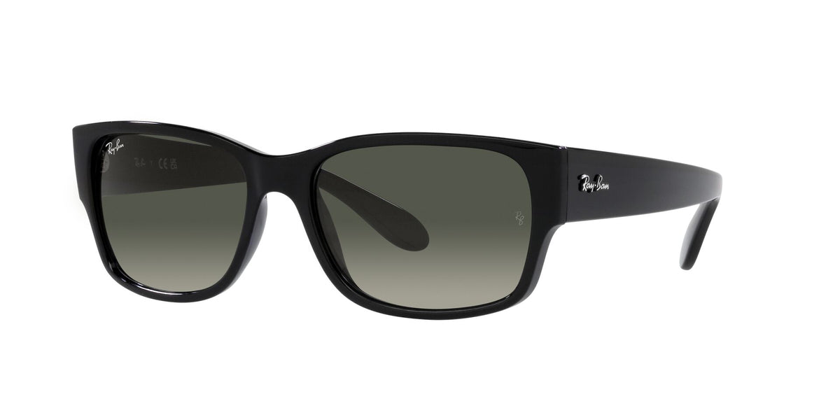 Rayban 4388 Wayfarer Full Rim Sunglasses