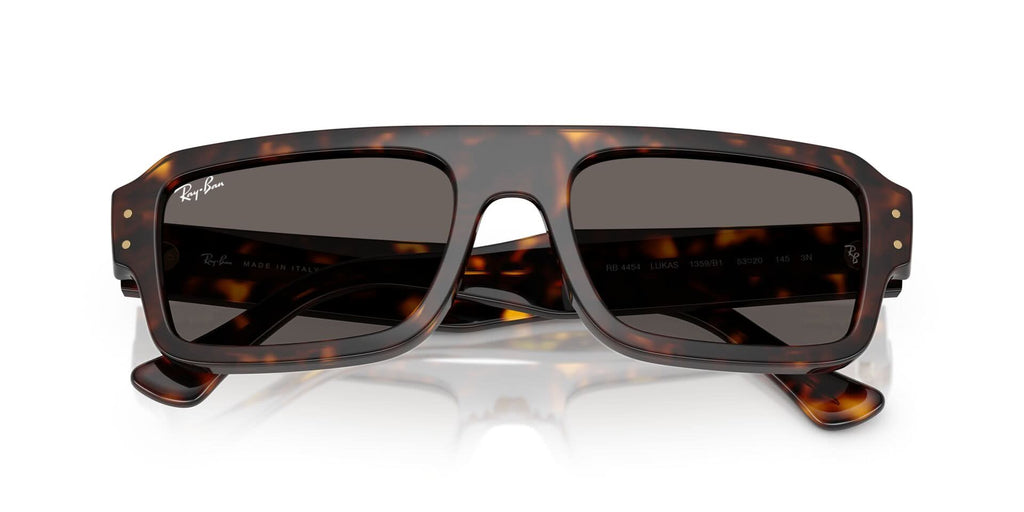 RAYBAN RB4454 FLACKO 1359B1 53 SUNGLASSES