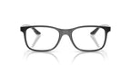 RAYBAN RX8903 8061 53 FRAME