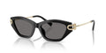 TIFFANY & CO TF4231U 800181 53 SUNGLASSES