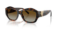 TIFFANY & CO TF4233U 8015T5 54 SUNGLASSES