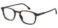CARRERA  244 - Dayal Opticals   