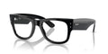 RAYBAN RX0840V MEGA WAYFARER 2000 51 FRAME