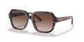 COACH HC8335U C7989 512013 53 SUNGLASSES