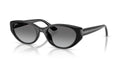 RAYBAN RB4457D 667711 55 SUNGLASSES