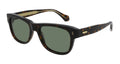 CARTIER CT0277S 002 55 SUNGLASSES