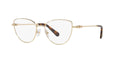 SWAROVSKI SK1007 4013 53 FRAME