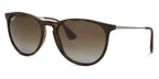 Ray Ban Eyewear & Sunglasses