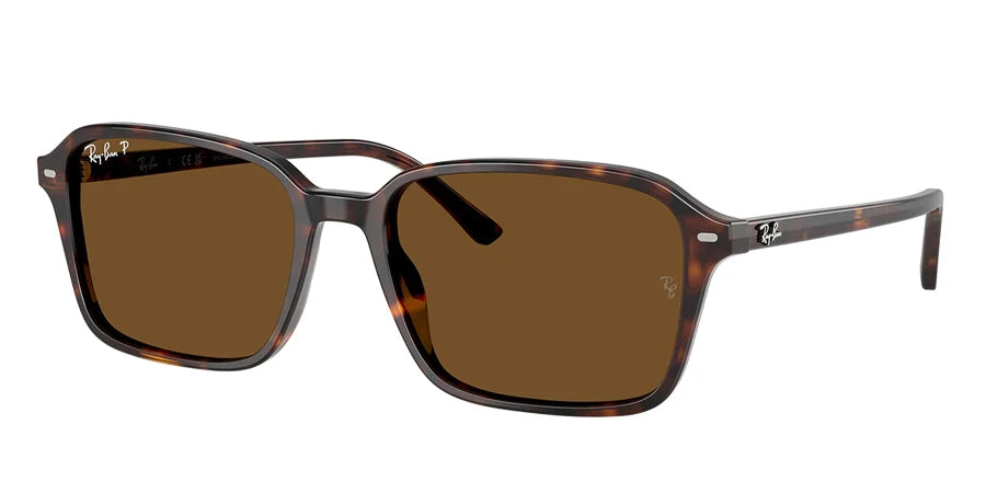 Ray Ban Eyewear & Sunglasses