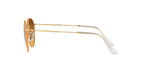 RAY BAN  0RB 3447JM - Dayal Opticals   