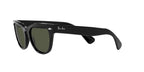 RAY BAN 0RB 2201 - Dayal Opticals   