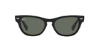 RAY BAN 0RB 2201 - Dayal Opticals   