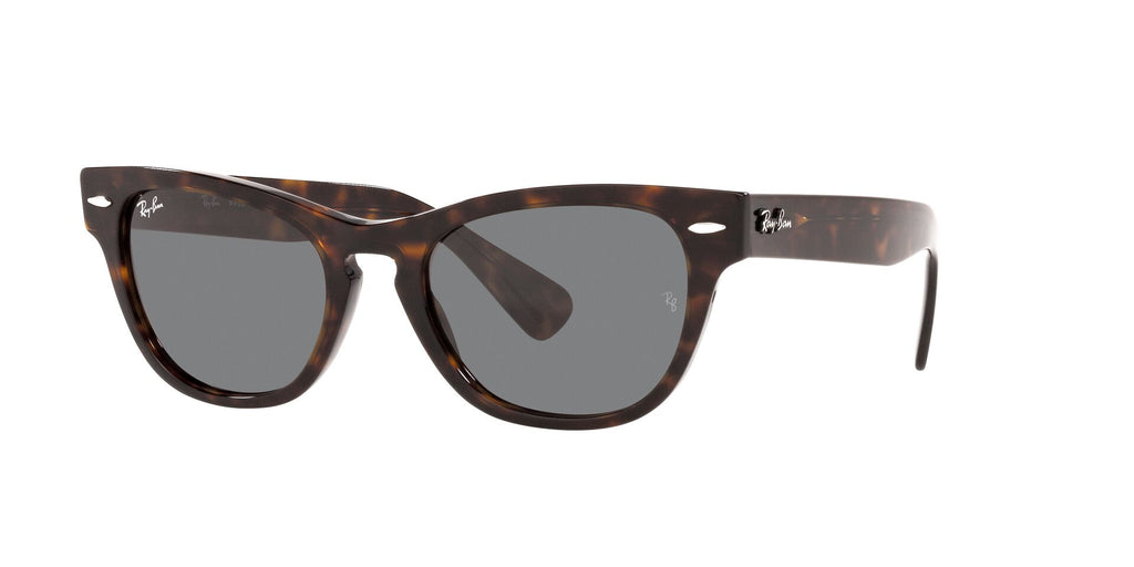RAY BAN 0RB 2201 - Dayal Opticals   