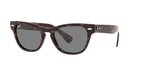 RAY BAN 0RB 2201 - Dayal Opticals   