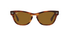 RAY BAN 0RB 2201 - Dayal Opticals   