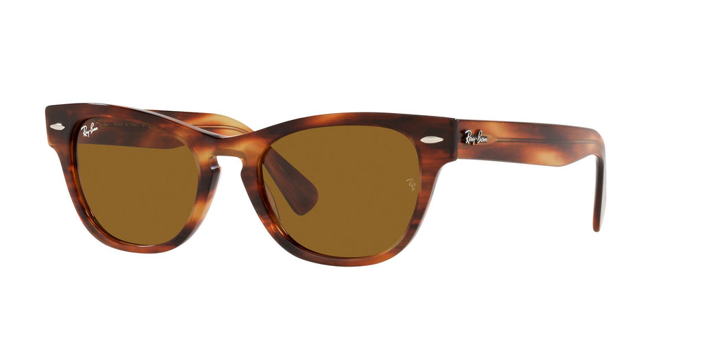 RAY BAN 0RB 2201 - Dayal Opticals   