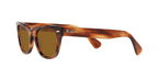 RAY BAN 0RB 2201 - Dayal Opticals   