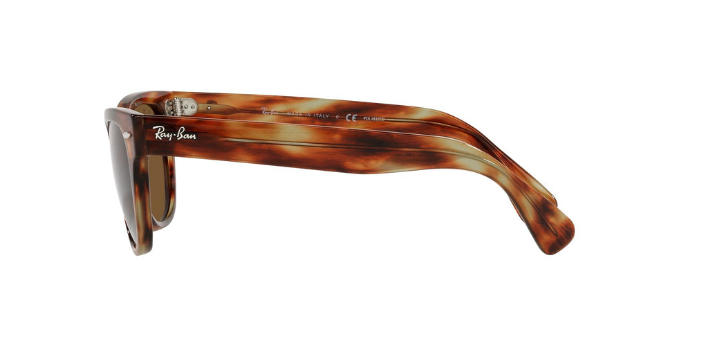 RAY BAN 0RB 2201 - Dayal Opticals   