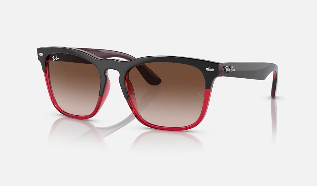 RAY BAN 4487 - Dayal Opticals   