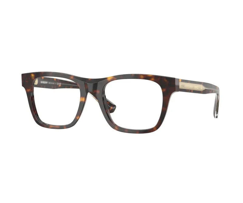 BURBERRY  2445
