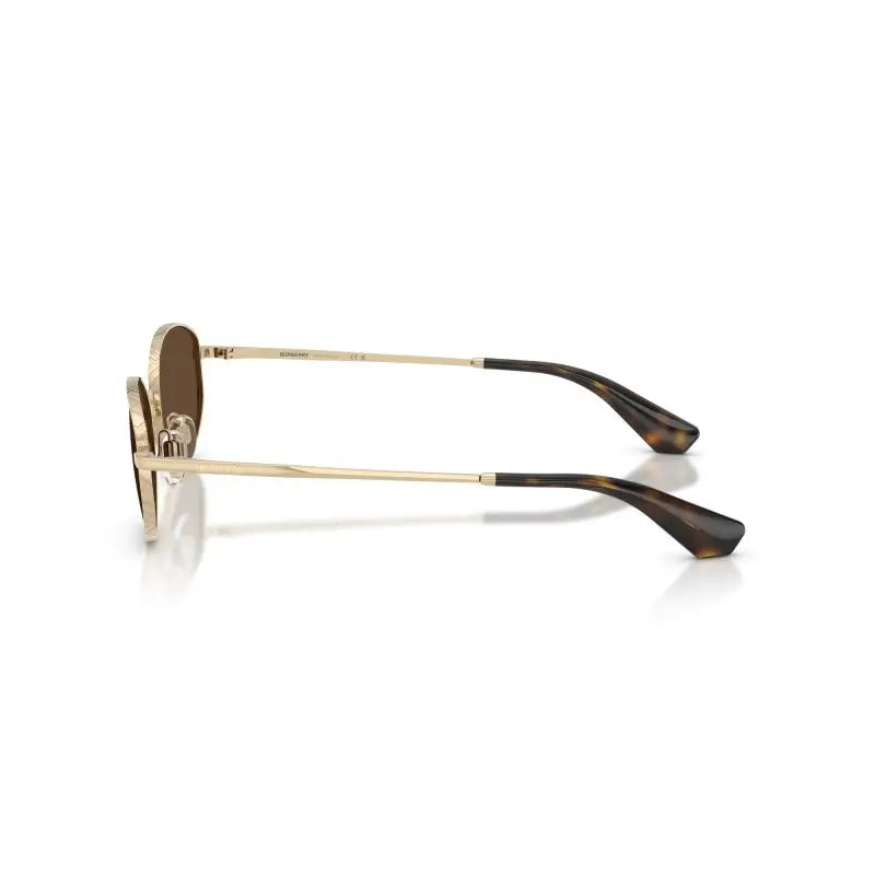 BURBERRY  3169