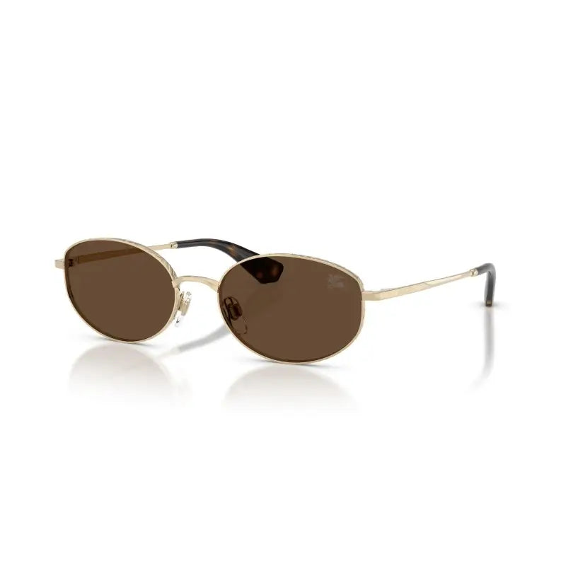 BURBERRY  3169