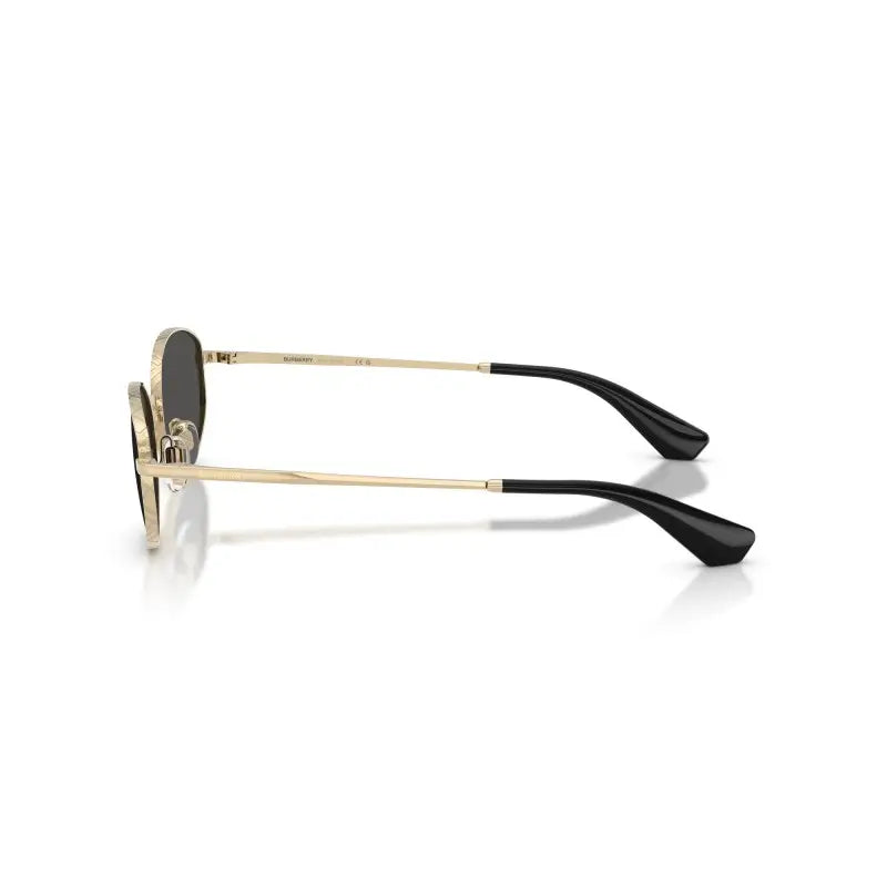 BURBERRY  3169