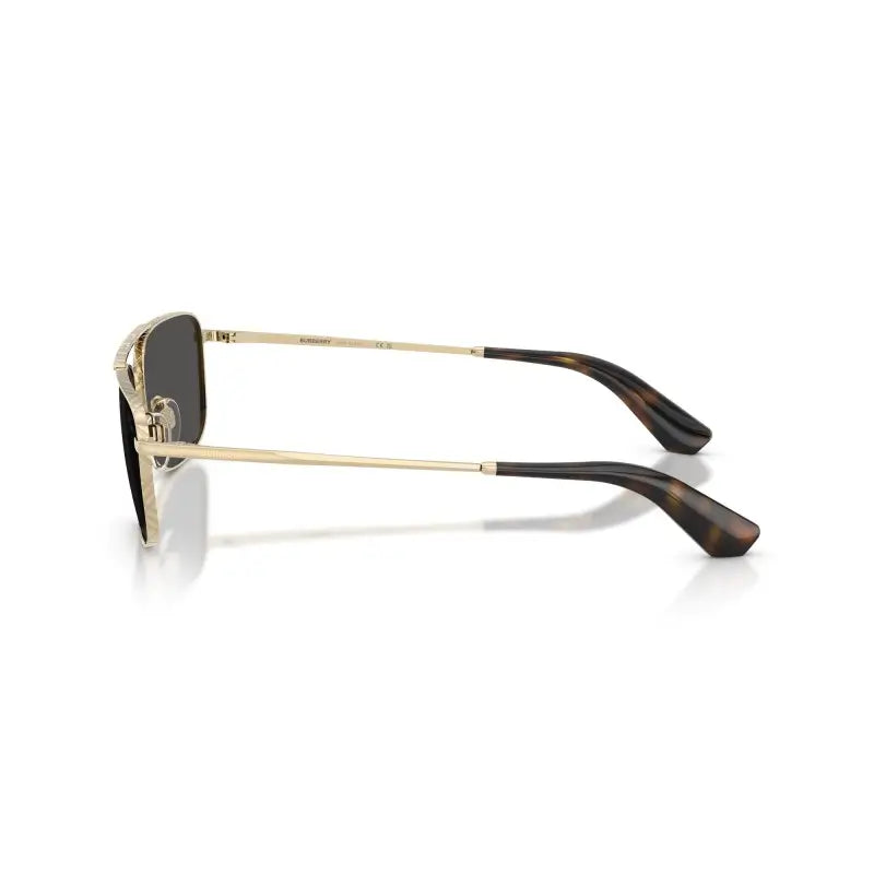 BURBERRY  3170