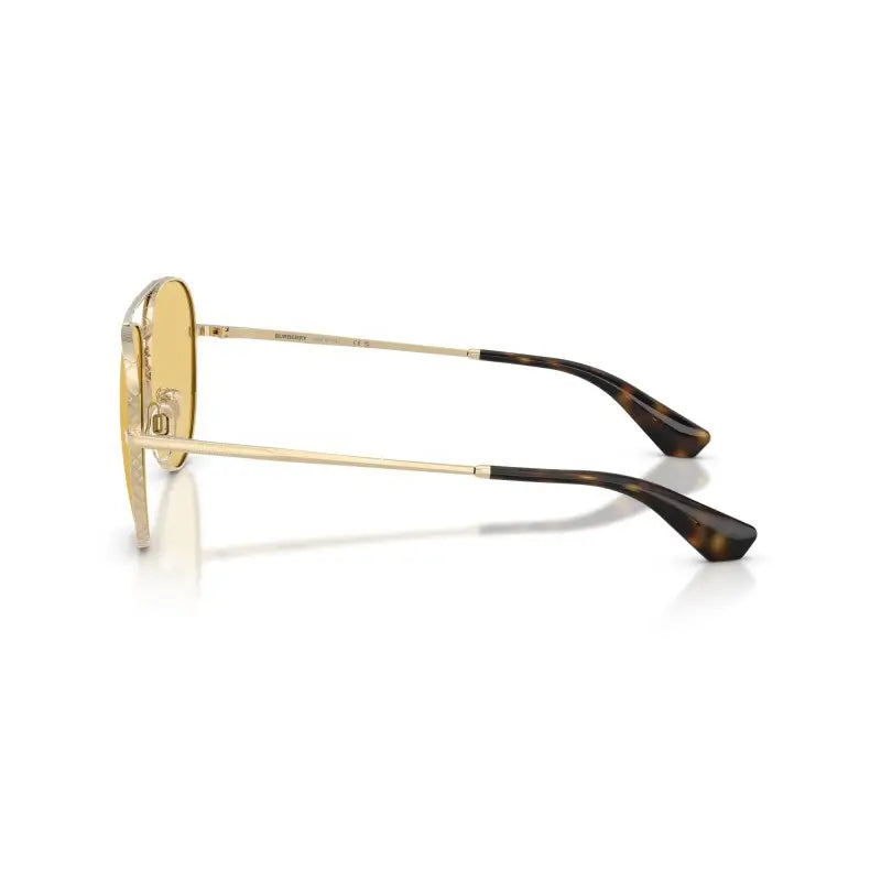 BURBERRY  3172