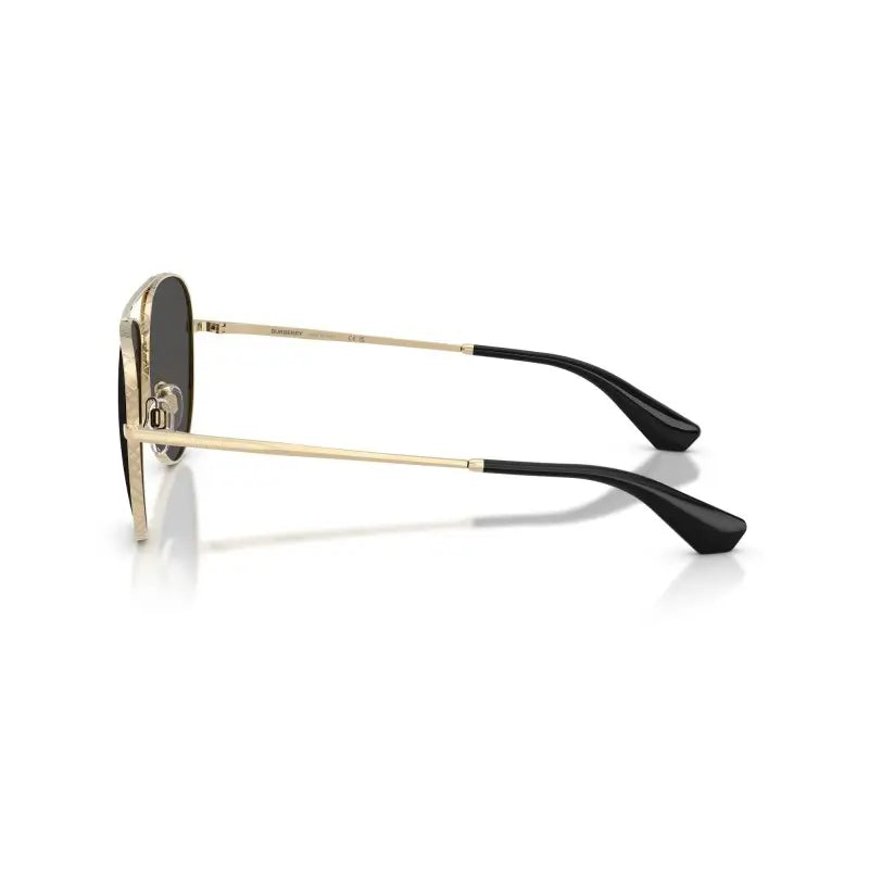 BURBERRY  3172