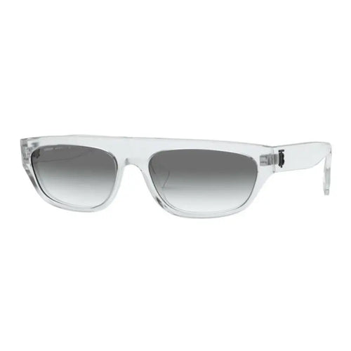 BURBERRY 4301