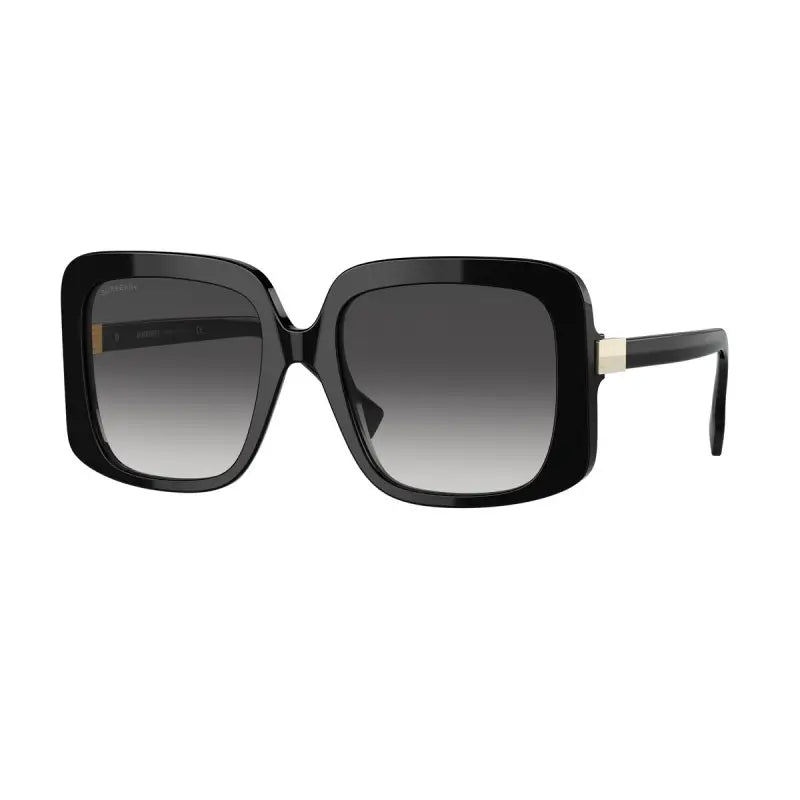 BURBERRY  4363