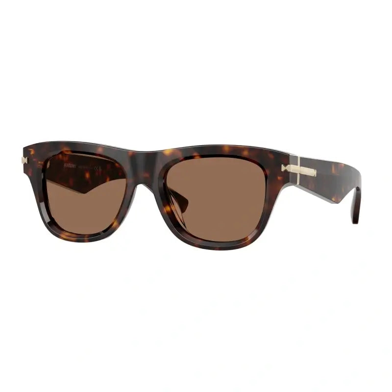 Burberry 4438U Dark Havana  300273 Sunglasses, Size 53 – Dayal Opticals 