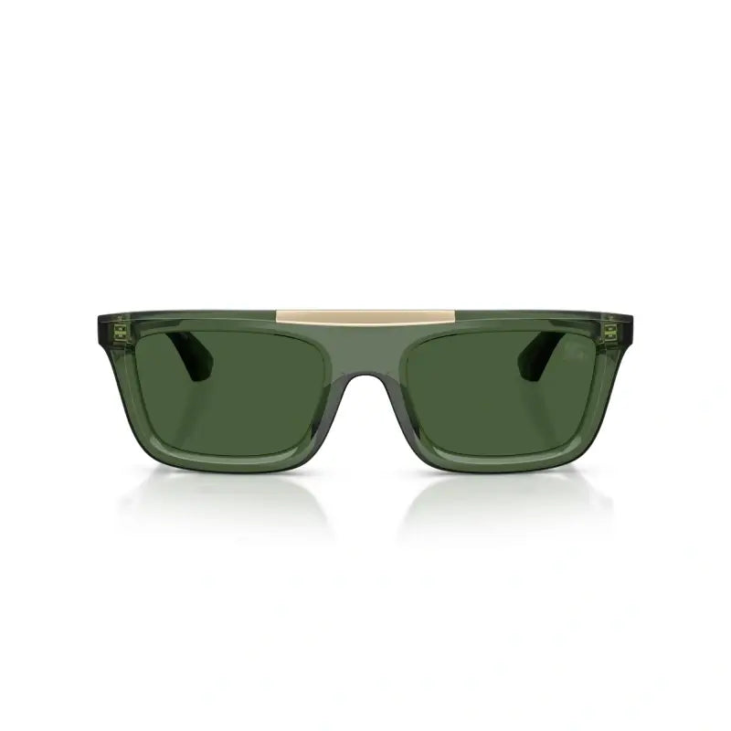 Burberry 4451U Acetate Full Rim Sunglasses