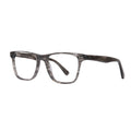 ROSVIN BUGS VERMONT C4 52 FRAME