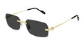 Cartier 0271S gold & grey 001 sunglasses, size 58 - Dayal Opticals India