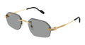 CARTIER CT0616S 004 54 SUNGLASSES