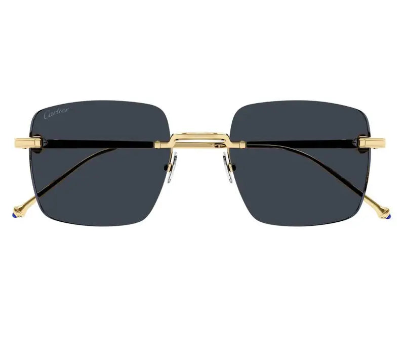 Cartier 0403S gold grey 002 sunglasses, size 52 - Dayal Opticals India