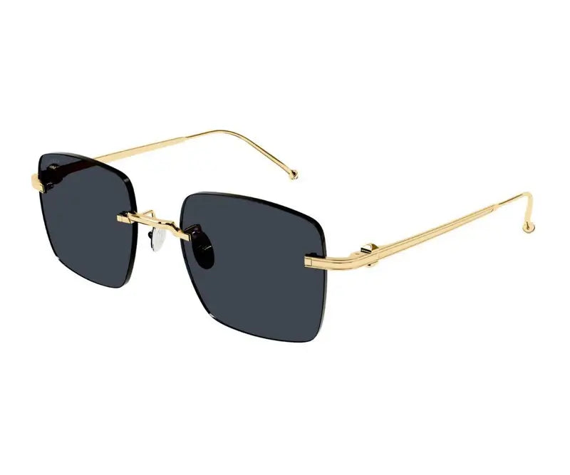 Cartier 0403S gold grey 002 sunglasses, size 52 - Dayal Opticals India