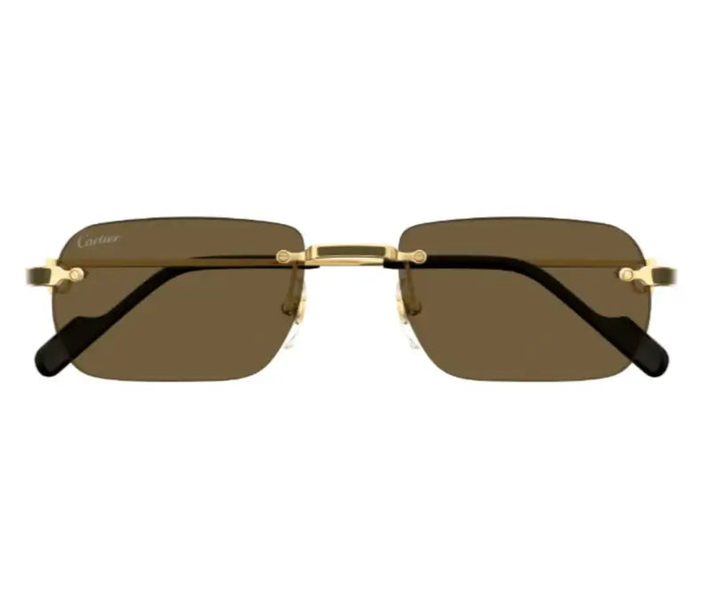 Cartier 0498S gold & brown 005 sunglasses,  size 55  - Dayal Opticals India           