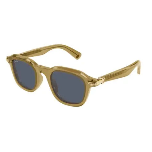Cartier 0536S olive & grey 005 sunglasses,  size 49  - Dayal Opticals India      