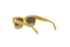 CELINE  40253I